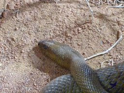 Haus des Meeres 4.02.2026